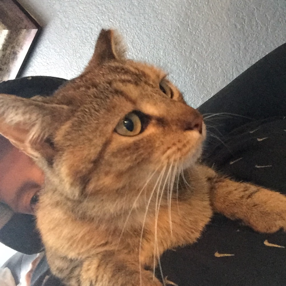 Meet your Posher, Jacob